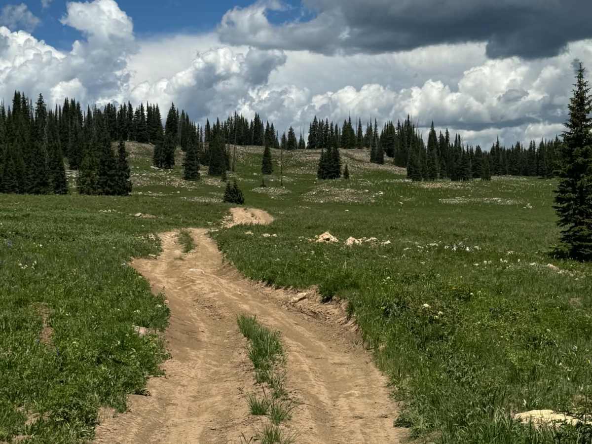 Transfer Trail North photo 4