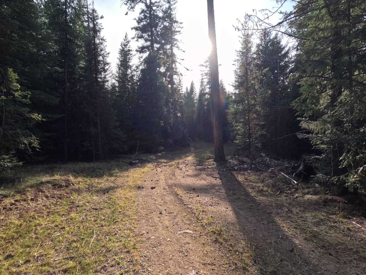FS 3140510 photo 3