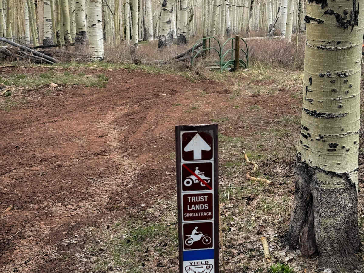 Trust Lands Singletrack (North)  photo 3