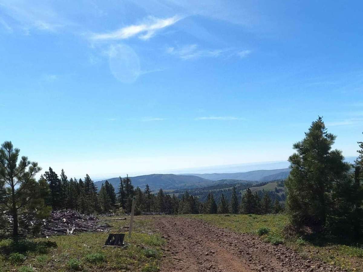 Reynolds Creek Tie - C1201 trail photo