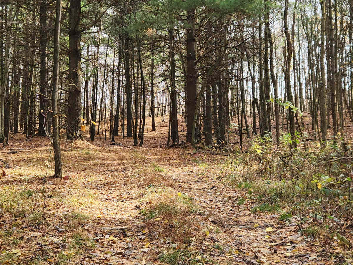 OHV 7 - Rock Run Recreation Area photo 4