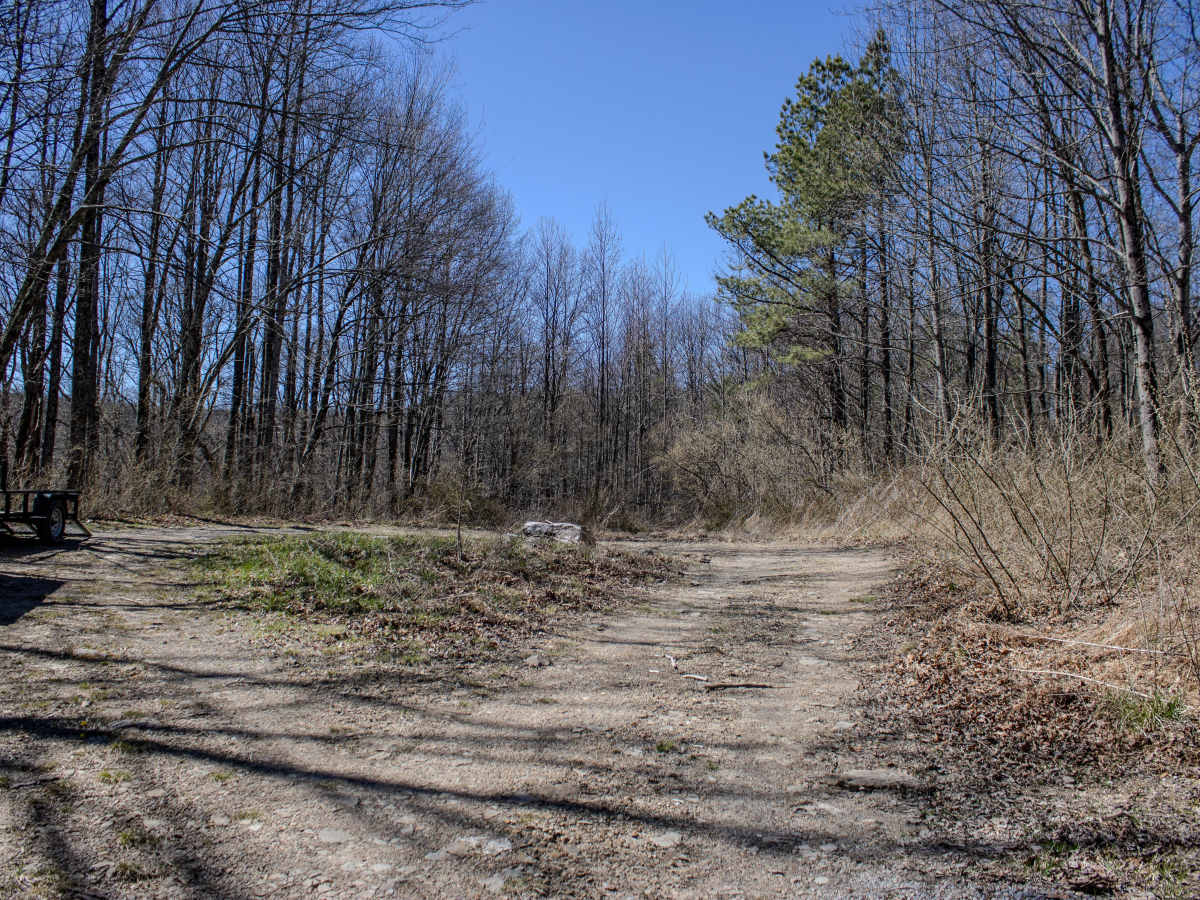 Grave Gap Trail photo 2
