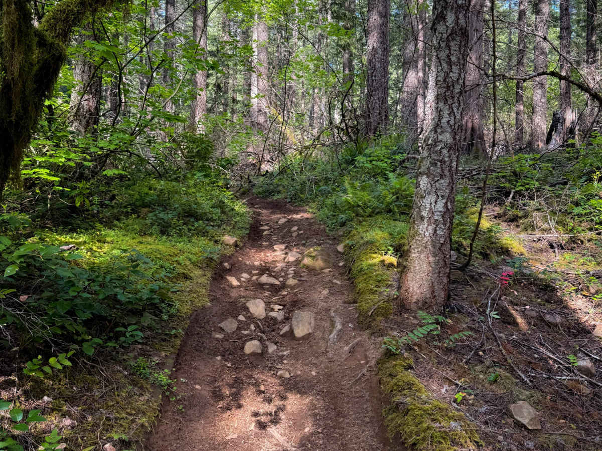 302 trail photo