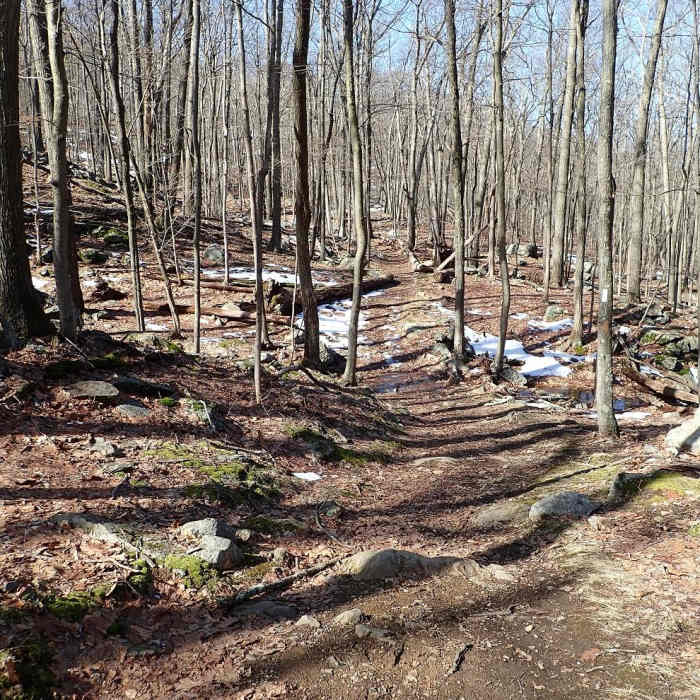 Near West Mountain Loop