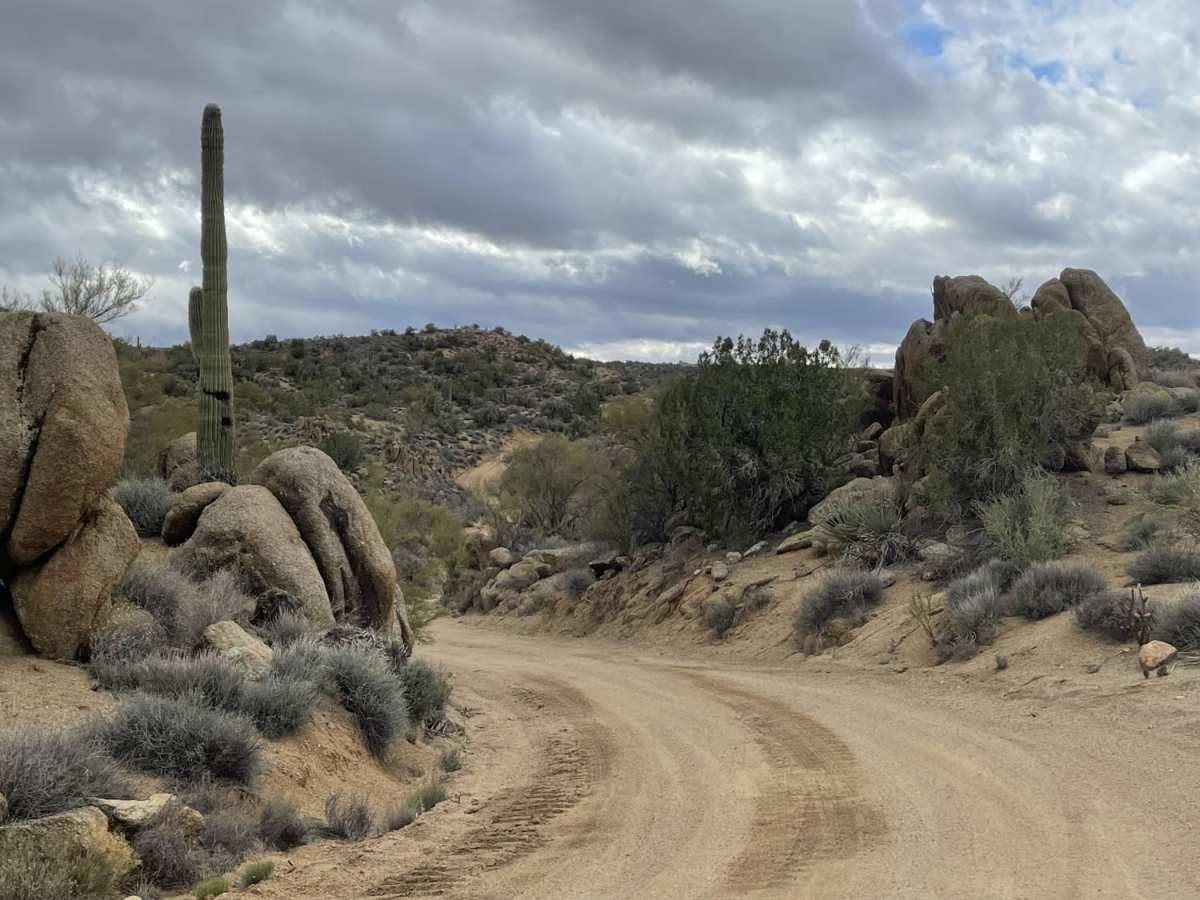 6 Mile Crossing to West Burro Creek Road photo 6