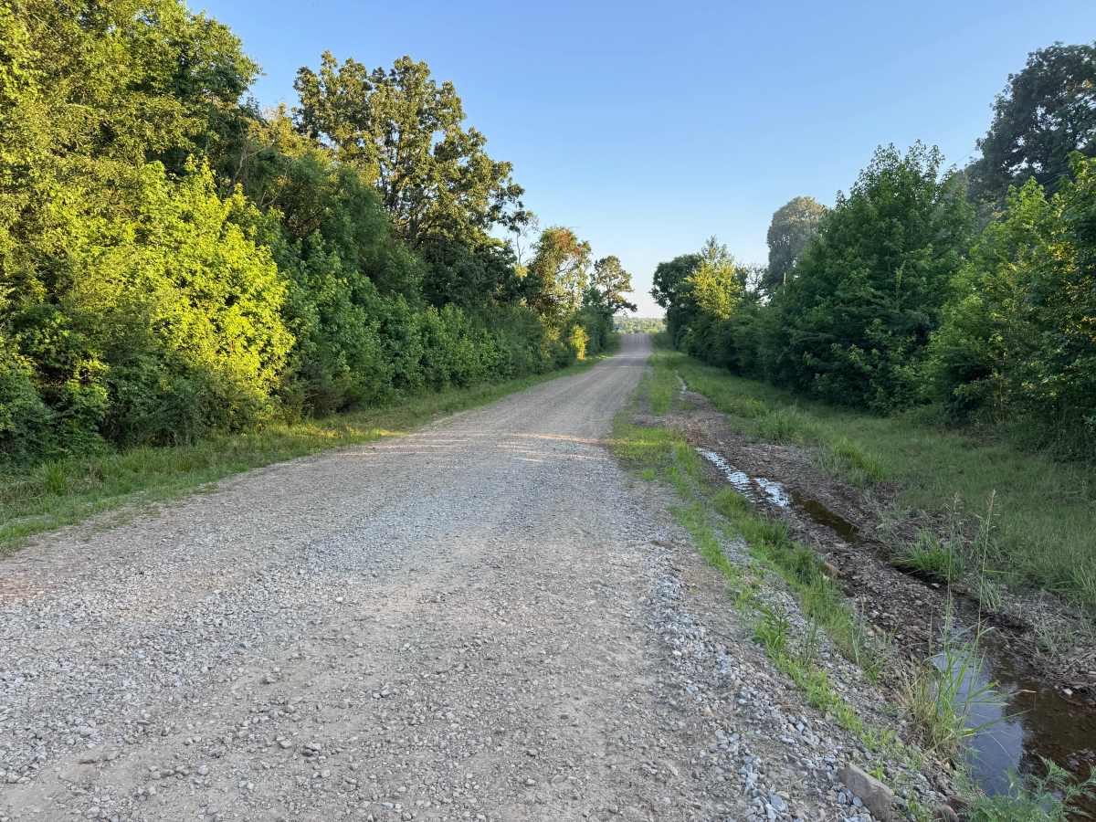 County Road 3335 trail photo