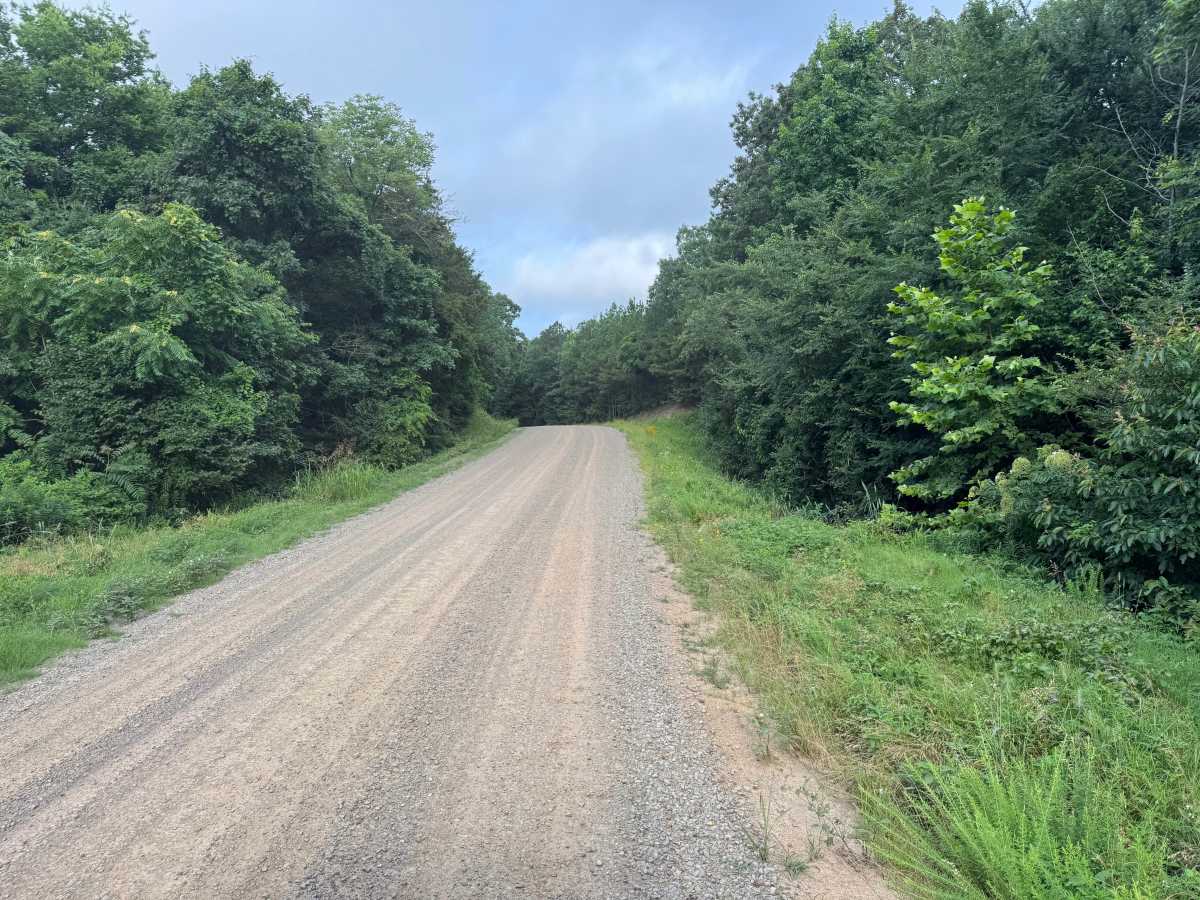 County Road 3190 photo 4