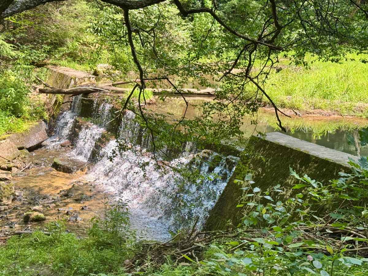 Callen Run Road trail photo