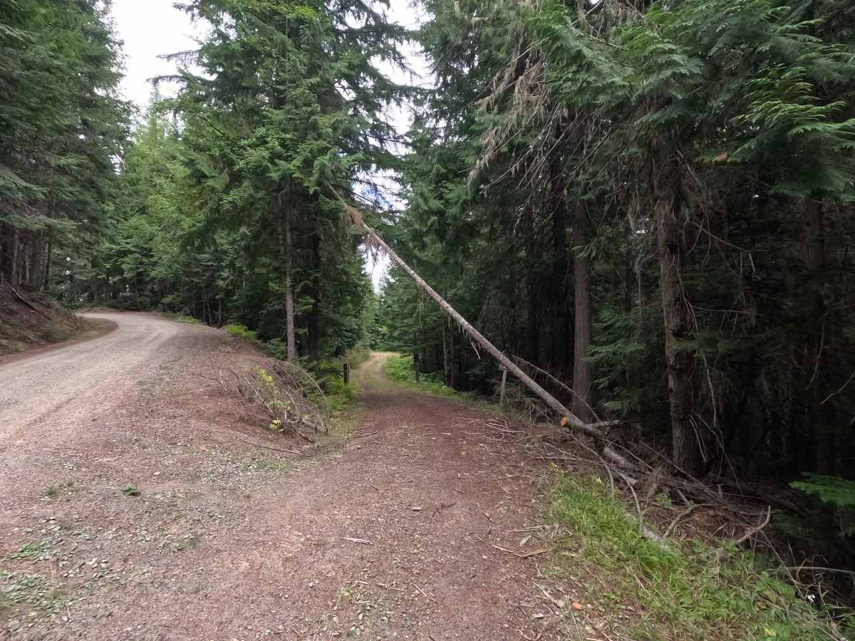 Galena Basin - FS 1089 trail photo