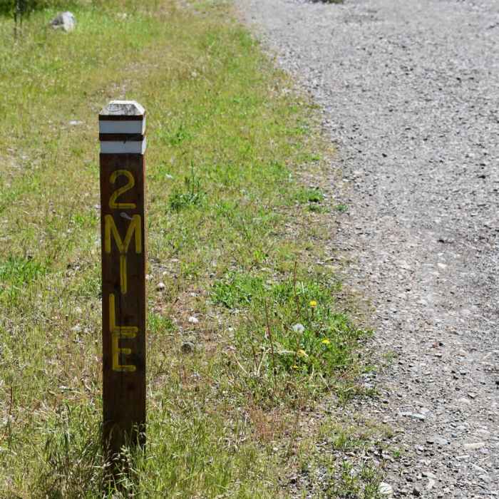 Near University Mountain via Kim Williams Trail