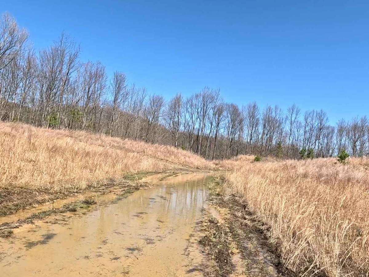 Witcher's Bottom trail photo