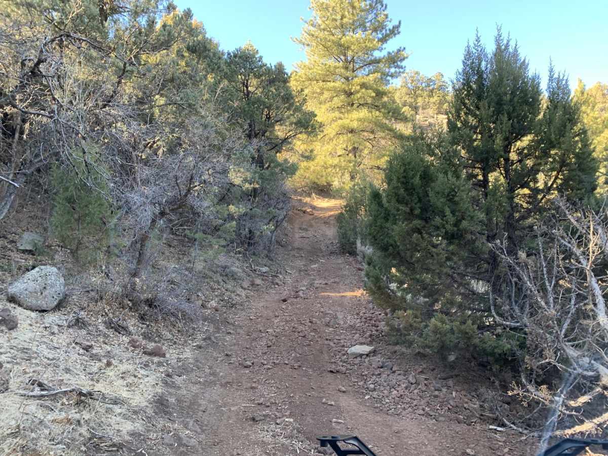 Pine Valley Mahogany Bench trail photo