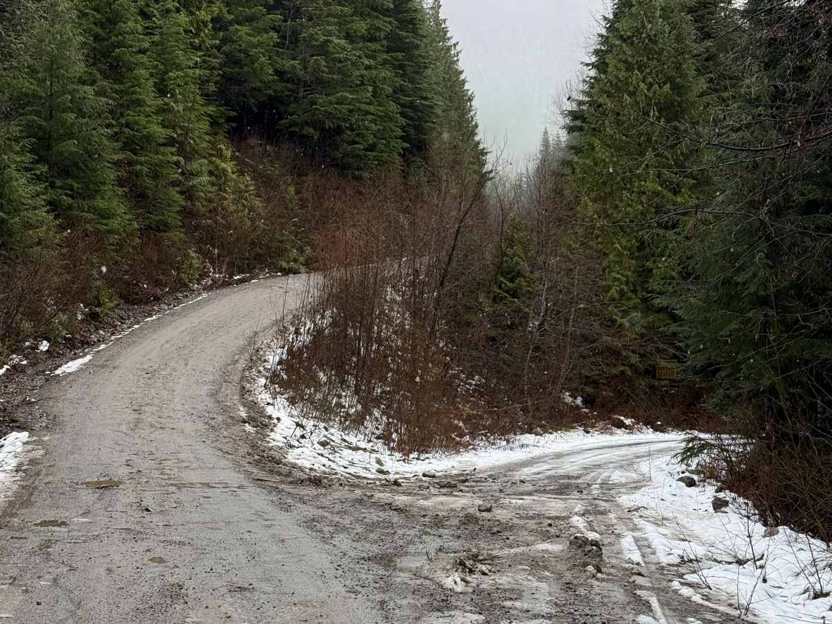 Williams Creek Trail photo 4