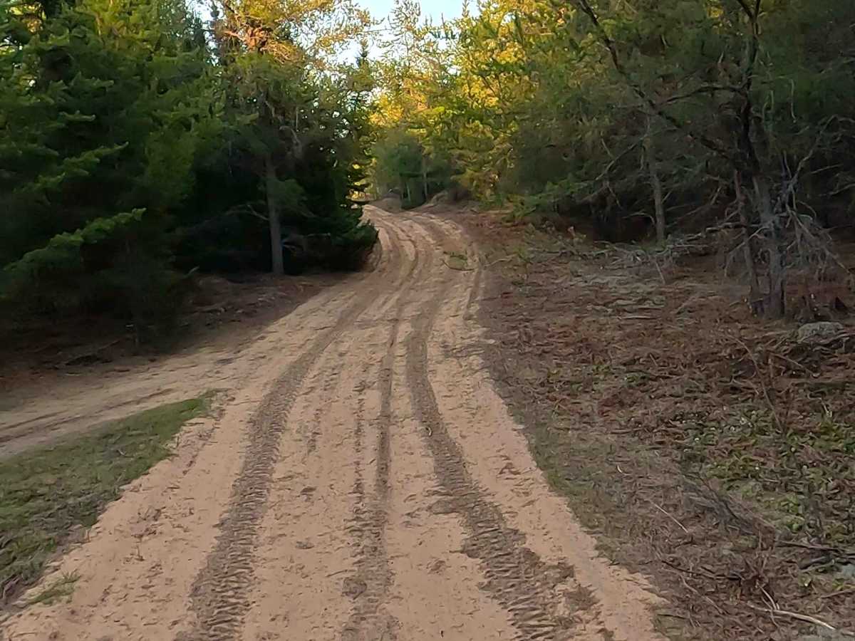 W East Gate Road Connector trail photo