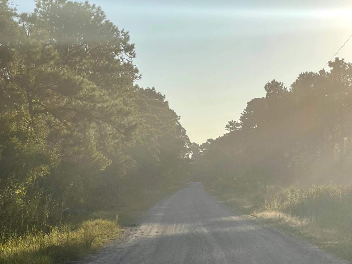 Ranch Road photo 2
