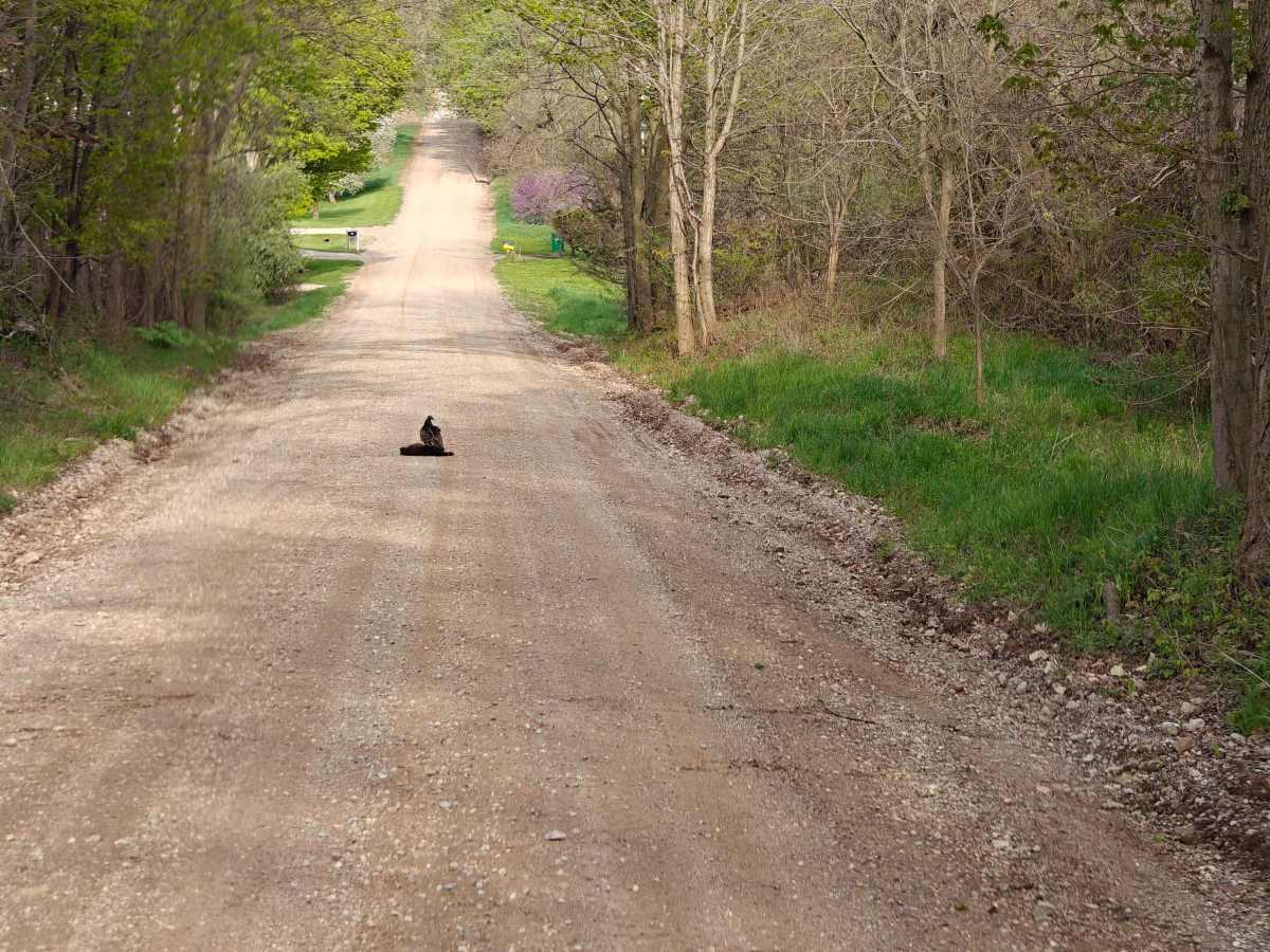 Scenic Hopkins Gravel photo 3