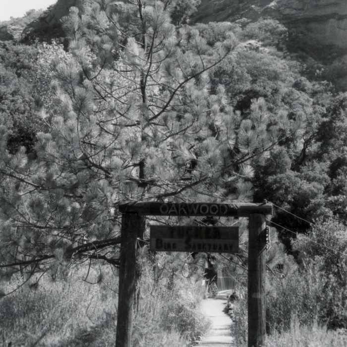 Tucker Wildlife Sanctuary, Modjeska Canyon Near Laurel Spring Out and Back