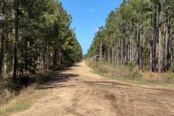 Smith Hammock Road