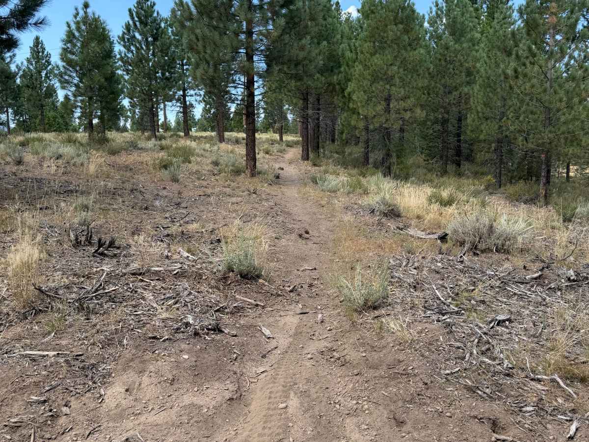 #47 trail photo