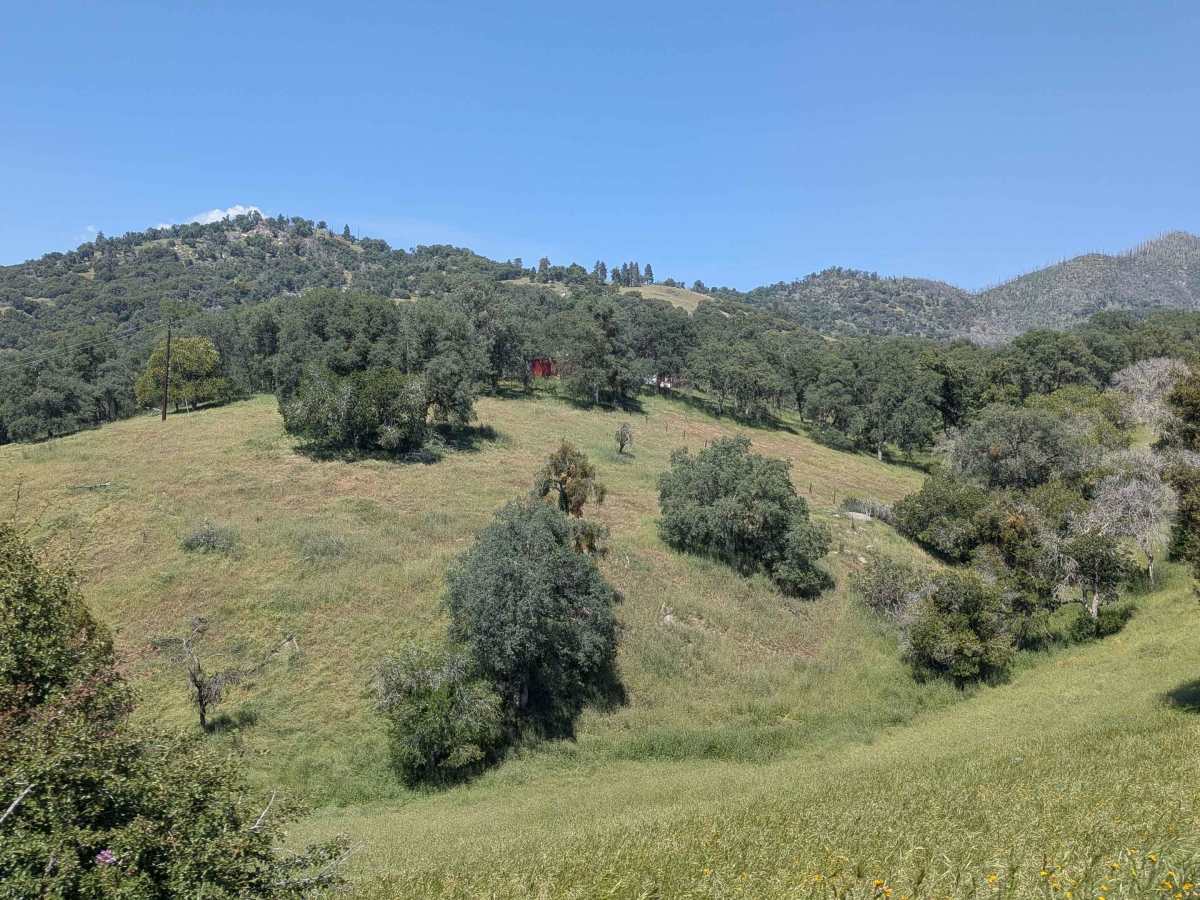 Deer Creek Mill - FS 23S04 photo 3