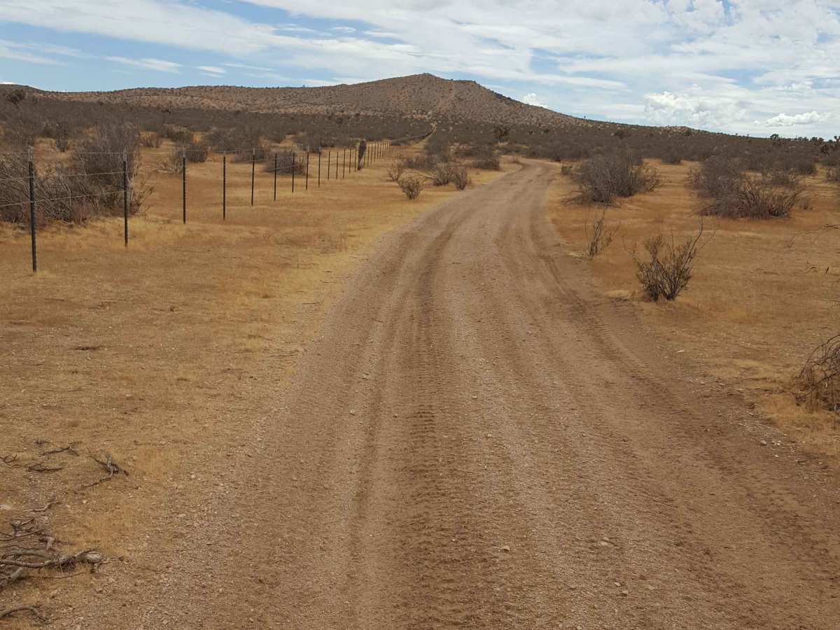 Waldheim Wash photo 5