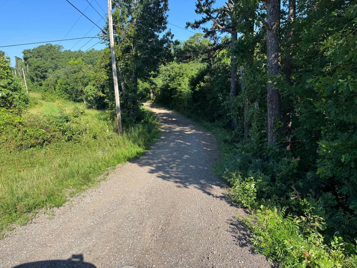 County Road 1465 trail photo