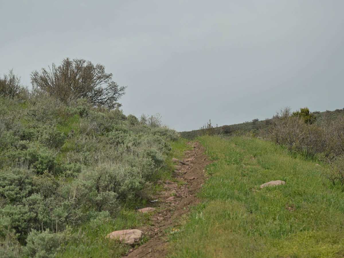 Marvin Spring Loop - FS 10053 photo 4