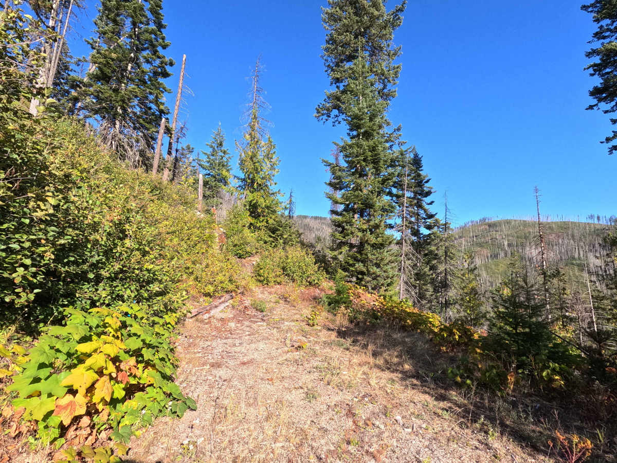 Klahowya Creek L - FS 1075L photo 5