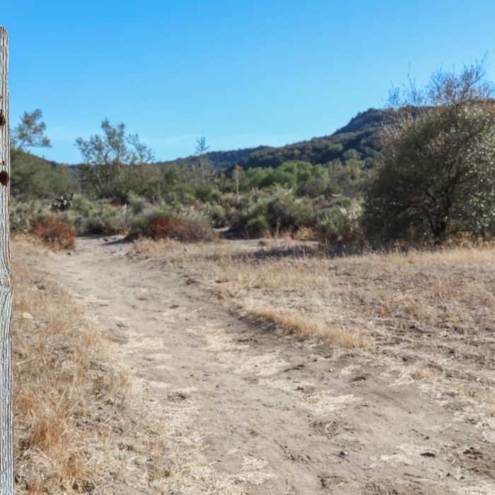Near Nature Loop Trail