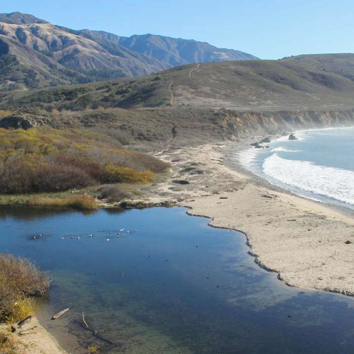 Near Beach Trail Near Beach Trail