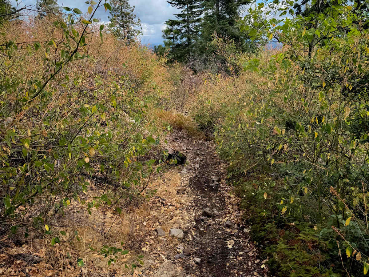 15EV58 photo 5