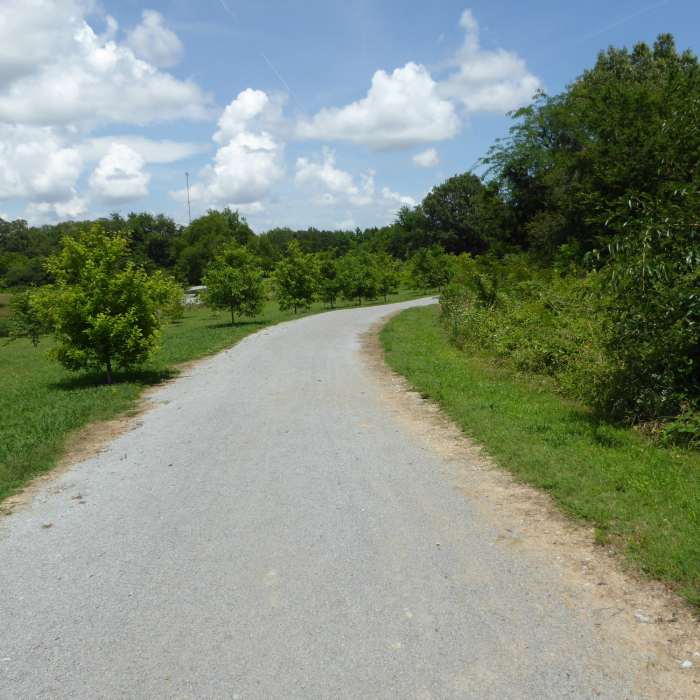 Near Trotting Fox Trail