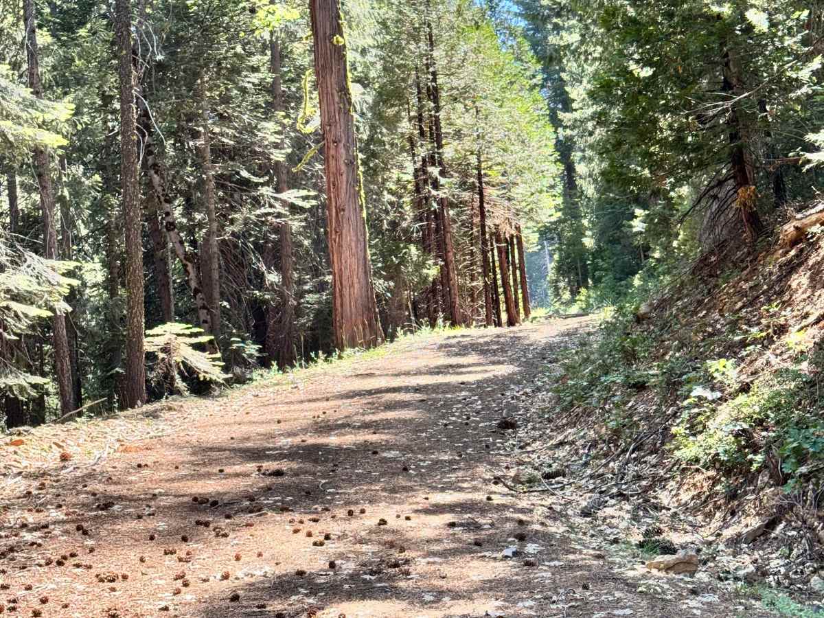 Upper Glen Spur trail photo