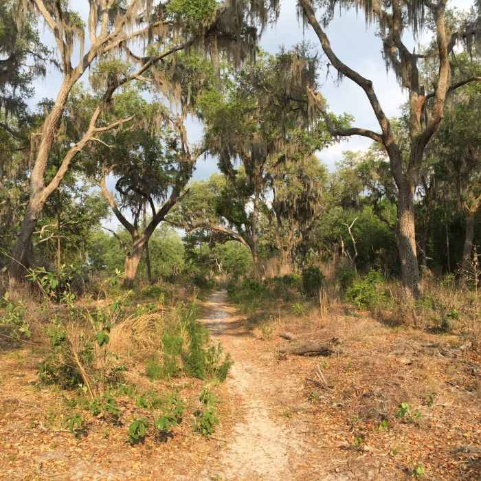 Near Sweetwater Preserve