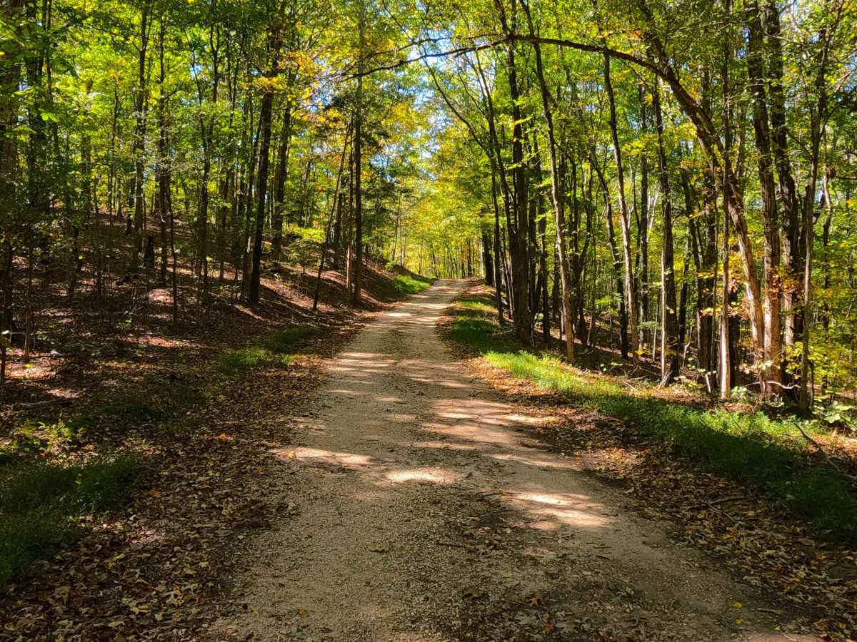 Bogard Road - FS 157 photo 6