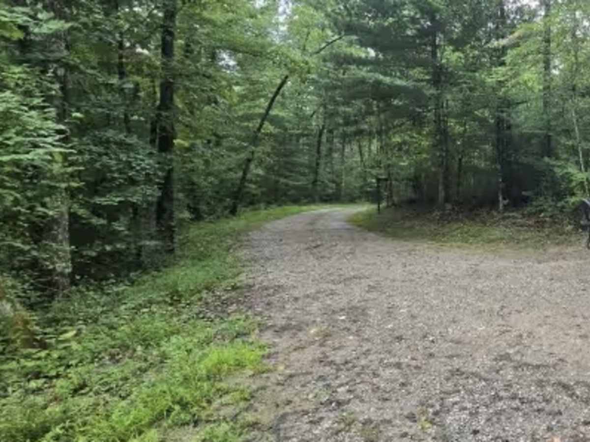 Blevins Cemetery Road photo 5