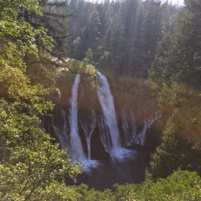 Near Pacific Crest Trail: California Section O