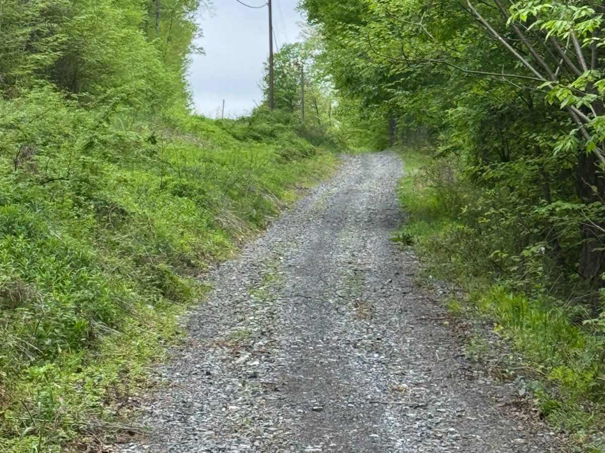 Coudy Pike Trail North photo 5