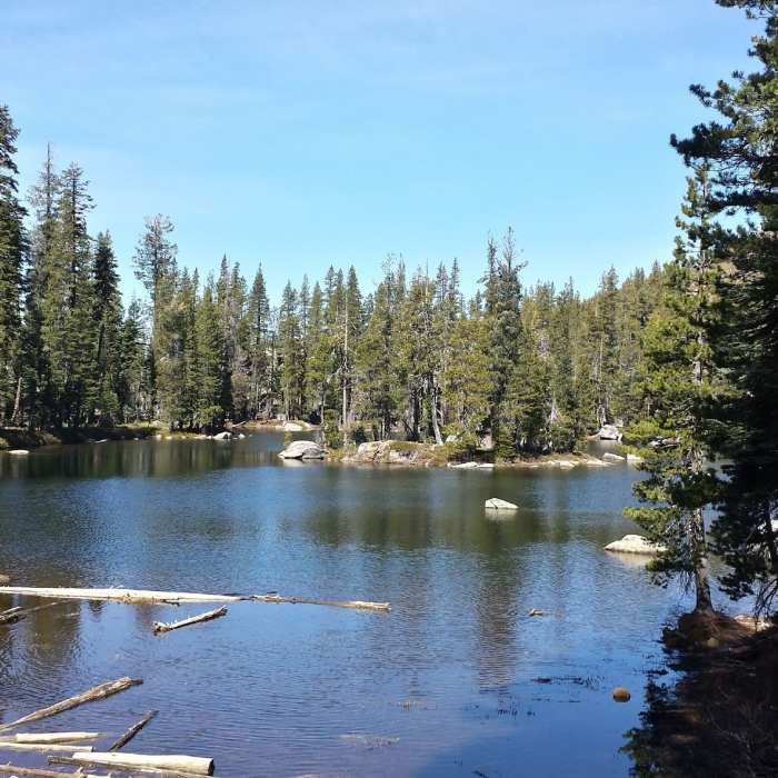 Near Penner Lake