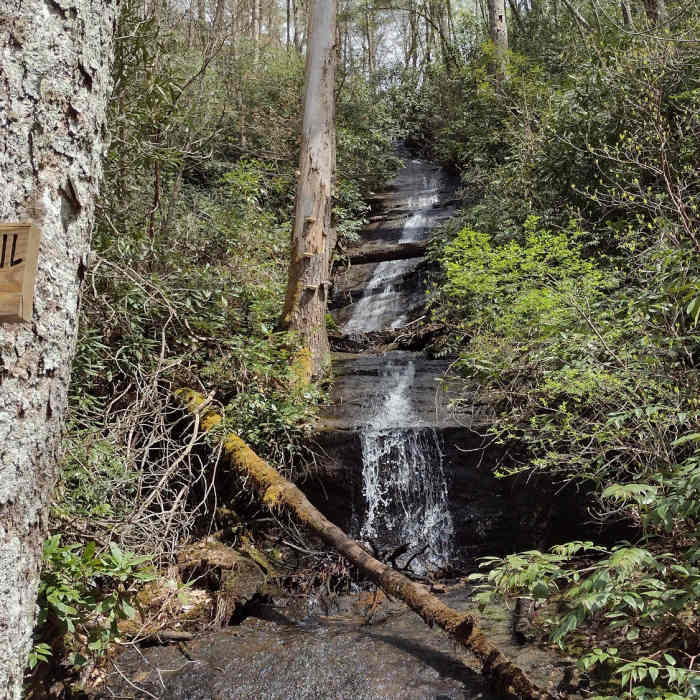 Near Foothills Trail