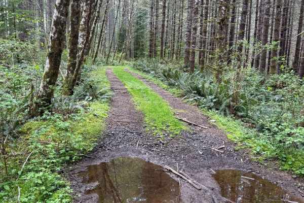 Nook Road