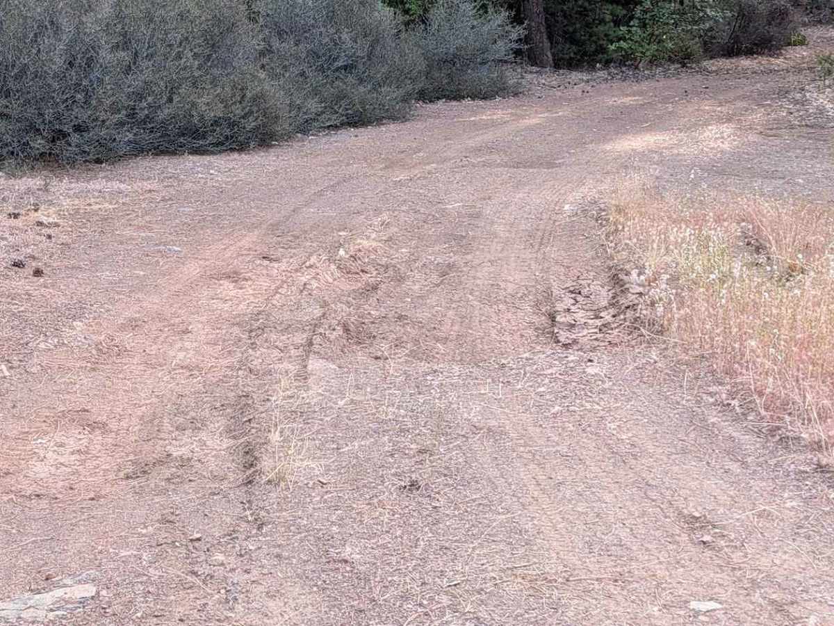 Plummer Gulch Road - FS 30N36 photo 5