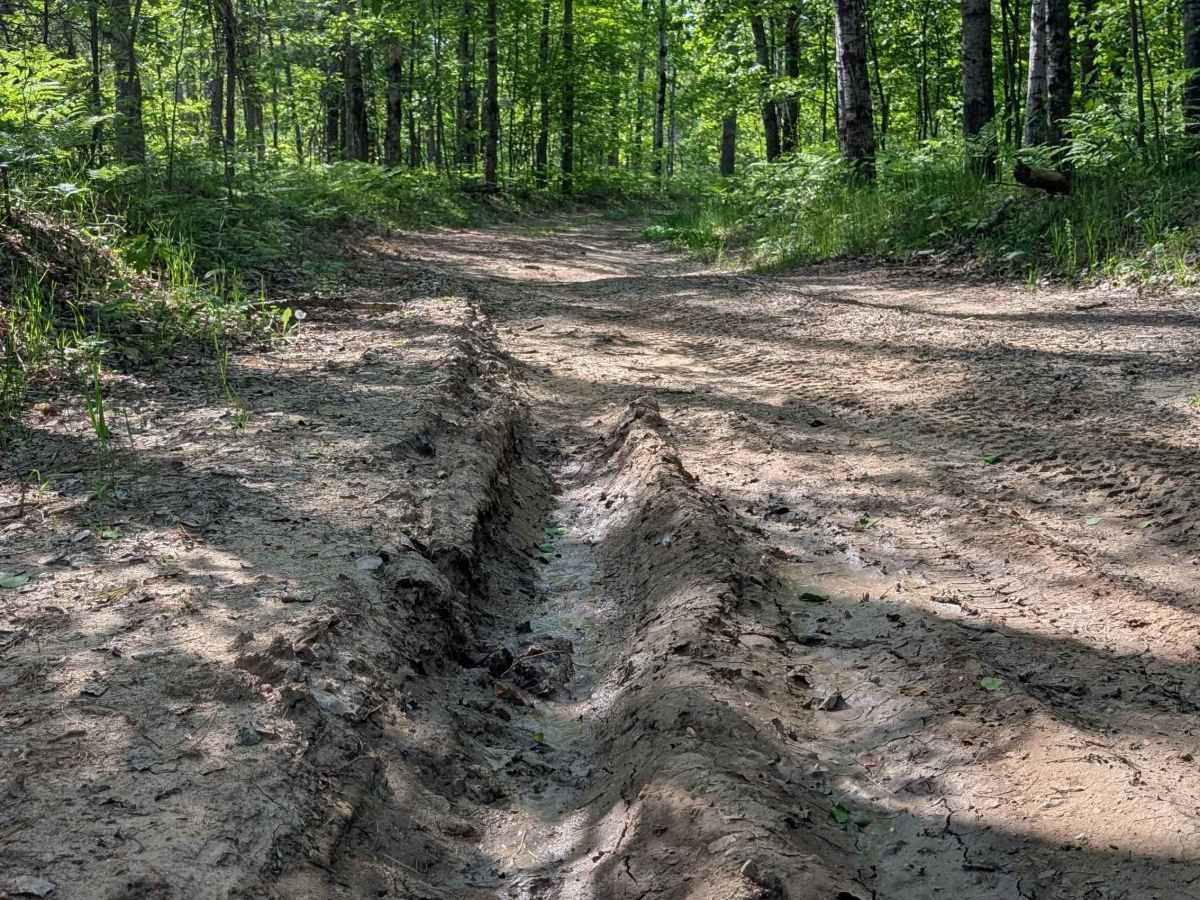Swamp Camp Trail photo 5