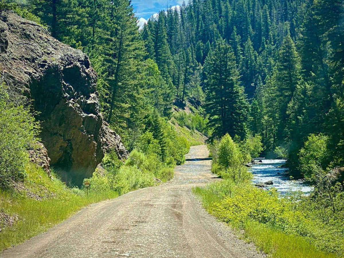 Lower Section of East Fork San Juan River Rd-Fr 667 trail photo