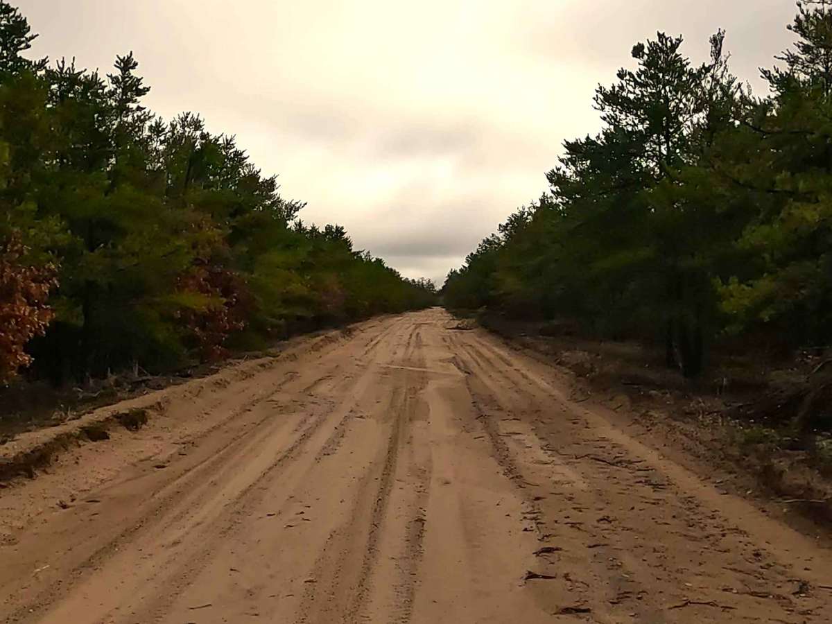 Keely Road - FS 4452 photo 5