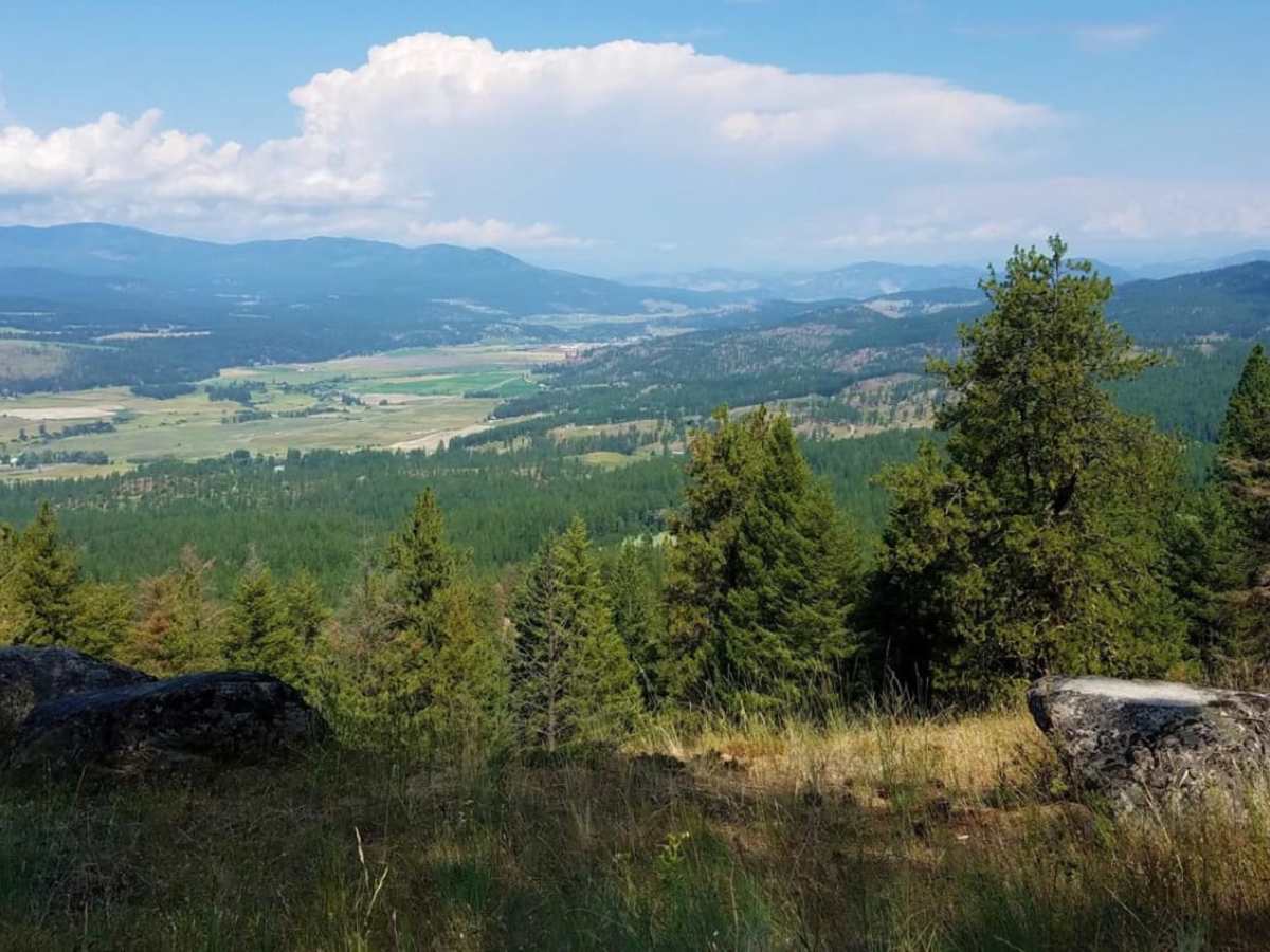 Iron Mtn-Chewelah photo 4
