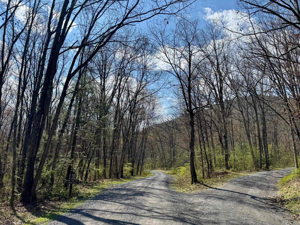 East Spruce Run Road photo 6