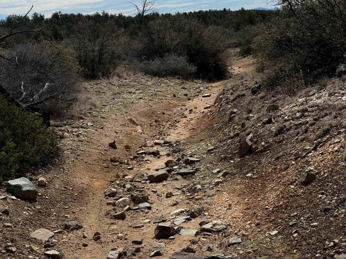 #9807  trail photo