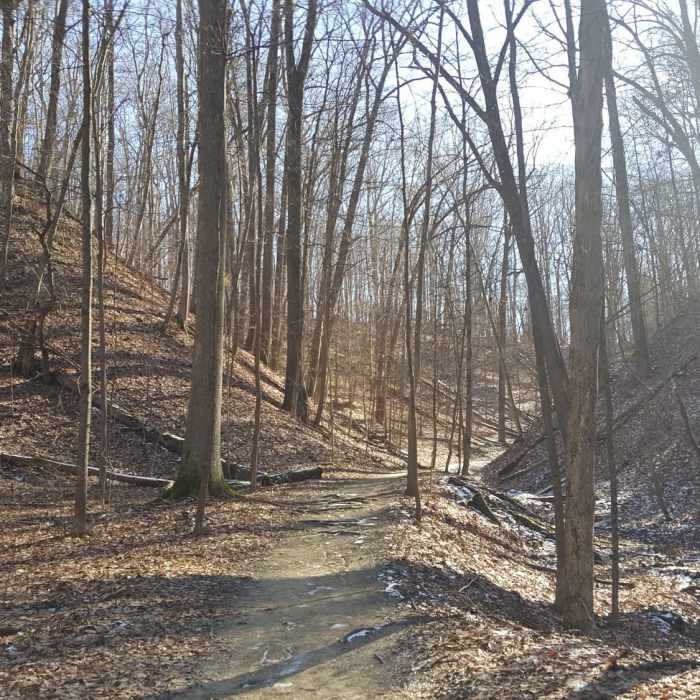 Near Adam Run Trail
