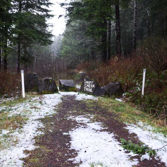 Near Horse Creek North/Drift Creek North Hike